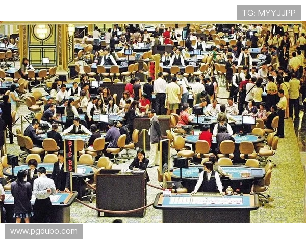 探索澳门彩论坛网第一站：博彩资讯与交流的最佳平台